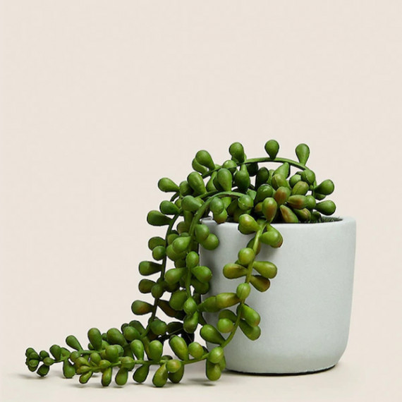 https://www.trendingfits.com/products/green-artificial-plant-with-pot